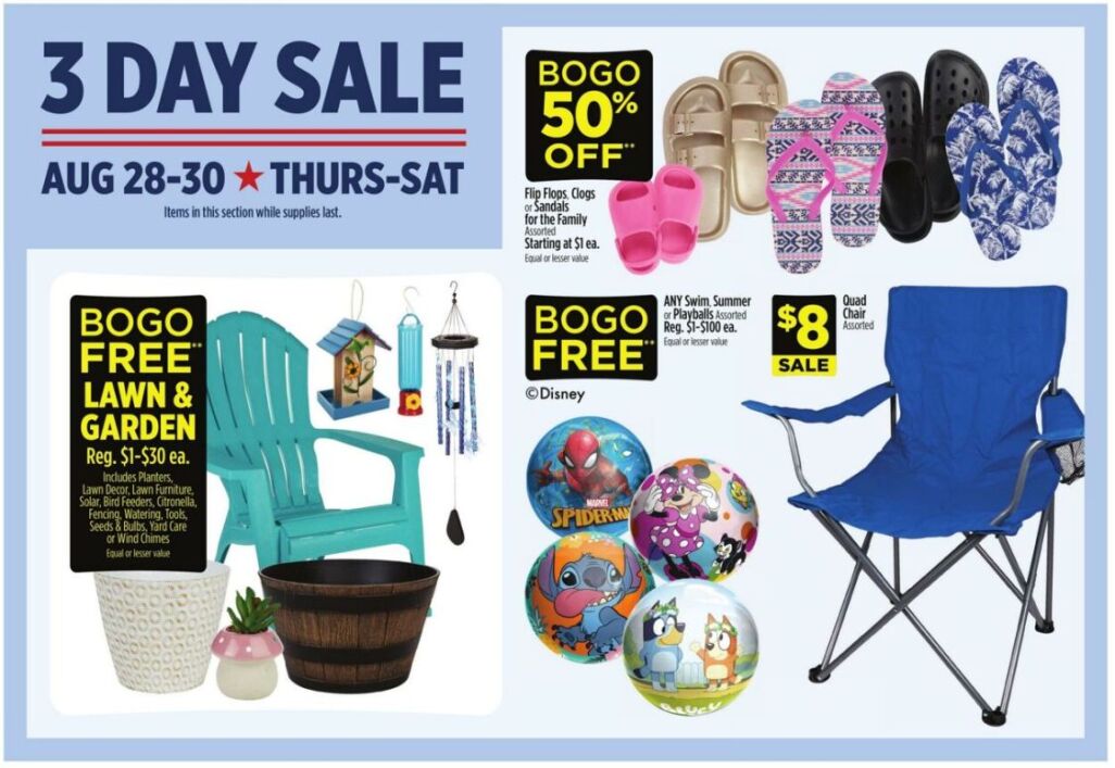 Dollar General Weekly Ad Aug 24-30 - Page 2