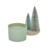 Sonoma Goods For Life Sisal Trees Balsam Fir 11-oz. 2-Wick Candle Dish