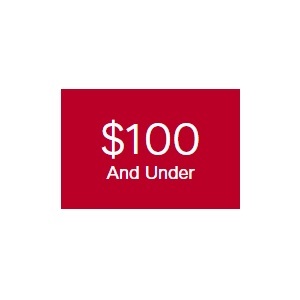 Gifts Under $100