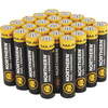 Northern Tool + Equipment AAA Alkaline Batteries 24-Pk 2 for $10