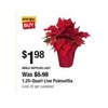 1.25-Quart Live Poinsettia