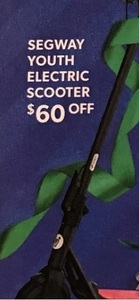 Segway C15 Youth Electric Scooter