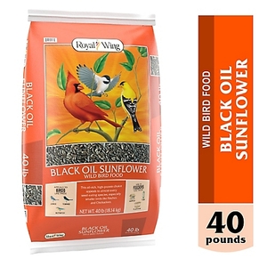 Royal Wing Black Oil Sunflower Wild Bird Food, 40 lb.