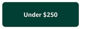 Gifts Under $250