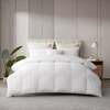 $20 Off Hotel Grand White Down Comforter