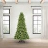 Member's Mark 9-ft Spruce Pine Pre-Lit Christmas Tree