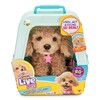 Little Live Pets My Really Real Puppy Curley The Cavoodle