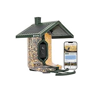 Scout Wi-Fi Solar Powered Smart Bird Feeder