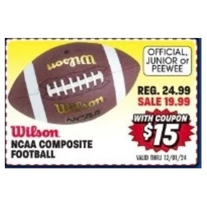 Wilson Ncaa Composite Football