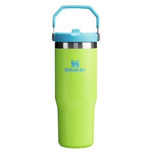 Stanley The IceFlow 30 oz Classic Flip Straw Tumbler