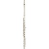 Allora Paris Series Professional Solid Silver Flute Offset G / C# Trill B Foot / Open Hole