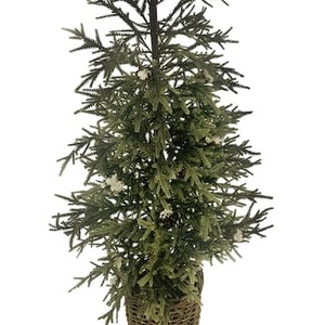 50% Off Accent Trees by Ashland
