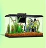 50% Off Aqueon open Glass Tanks