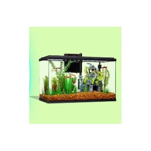 50% Off Aqueon open Glass Tanks