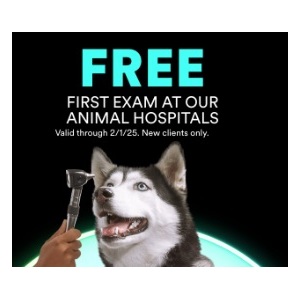 First Exam At Our Animal Hospitals