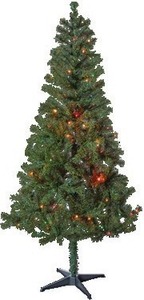 50% Off All Christmas Trees