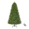 Home Accents Holiday 7.5 ft. Pre-Lit LED Edgewater Pine Artificial Christmas Tree T11