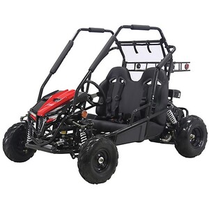 Coleman Powersports 196cc 2-Seater Gas-Powered Go Kart