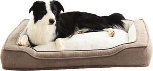 Style Selections  42-in x 32-in Bolster Pet Bed
