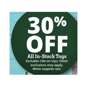 30% OFF All In-Stock Toys