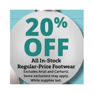 20% OFF All In-Stock Regular-Price Footwear