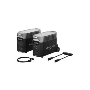 EcoFlow Whole-Home Backup Solutions with 2 DELTA Pros + Double Voltage Hub