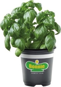 Bonnie Plants Select 11.8-oz Herbs 4 for $10